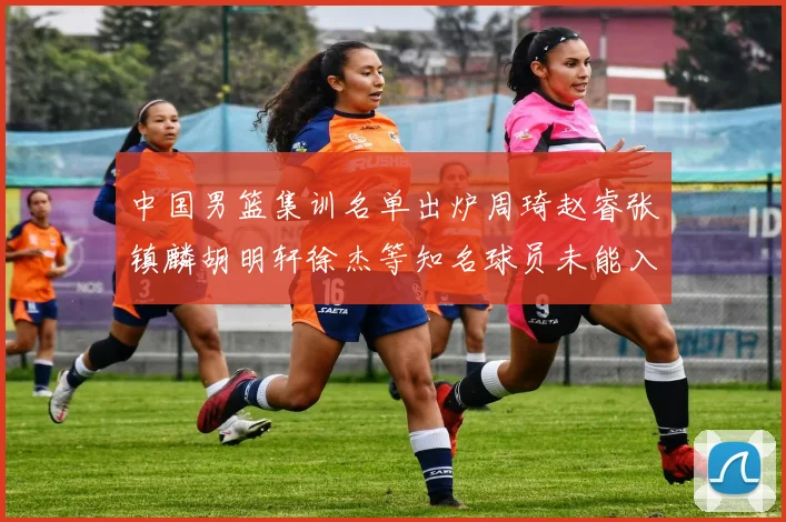 中国男篮集训名单出炉周琦赵睿张镇麟胡明轩徐杰等知名球员未能入选
